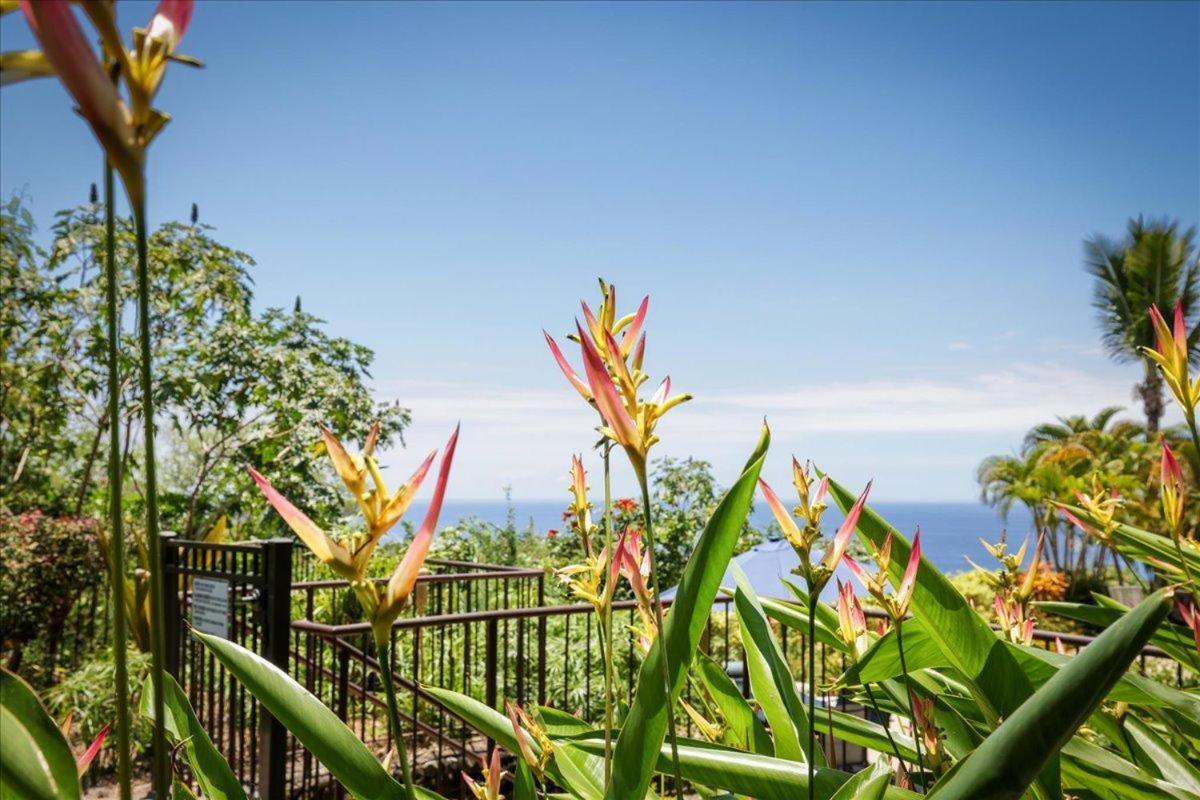 Kona Westwind 1 New! Quiet Ocean-View 1St Floor | Patio | Pool Villa Кайлуа Кона Екстериор снимка