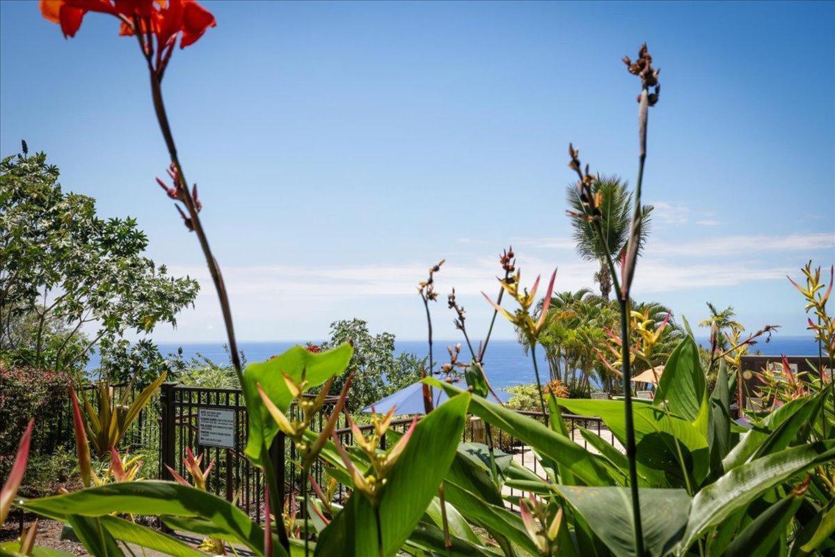 Kona Westwind 1 New! Quiet Ocean-View 1St Floor | Patio | Pool Villa Кайлуа Кона Екстериор снимка